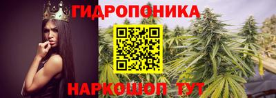 кокаин колумбия Кингисепп