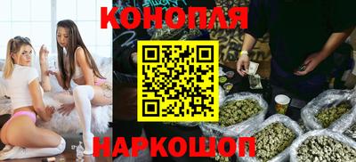 сатива Кимры