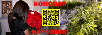 шишки Кинель