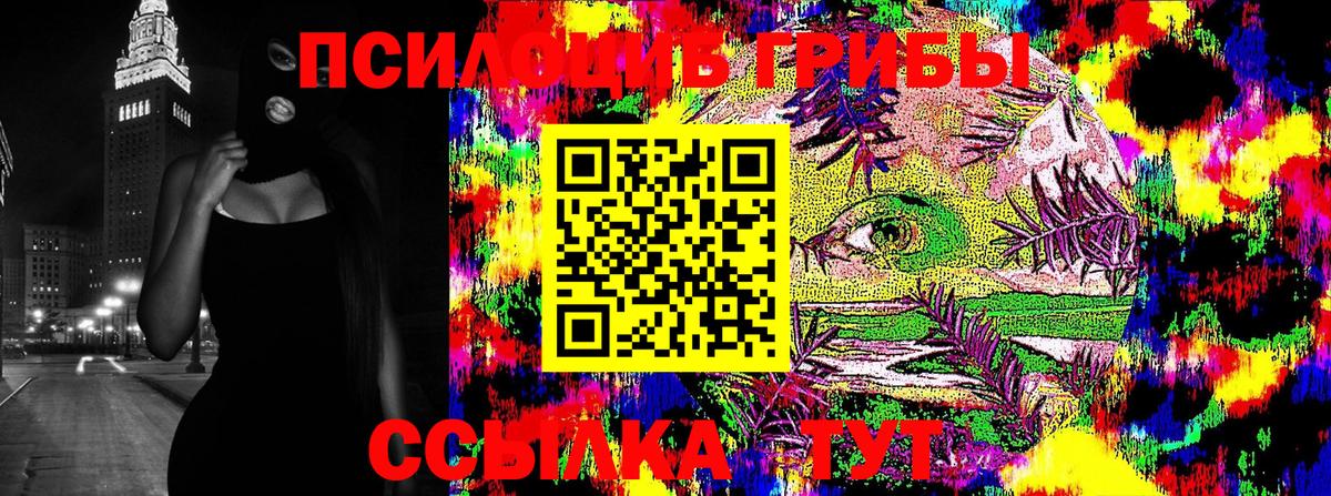 Сызрань  Галлюциногенные грибы прущие грибы  Вход с VPN 